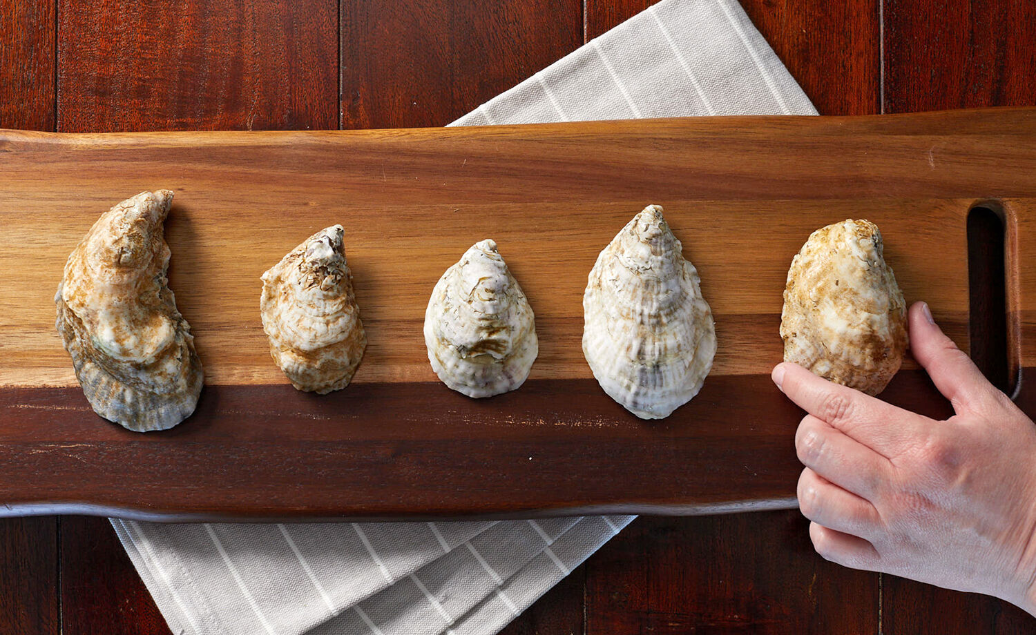 Oyster lineup